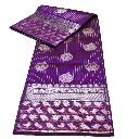 Handwoven Venkatagiri Pure Pattu Saree
(Handloom & Silk mark Certified)