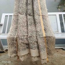 Kalamkari Silk Saree